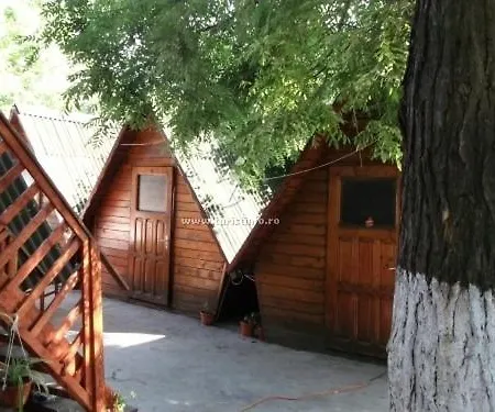 Pensiunea Bistrita Guest house *